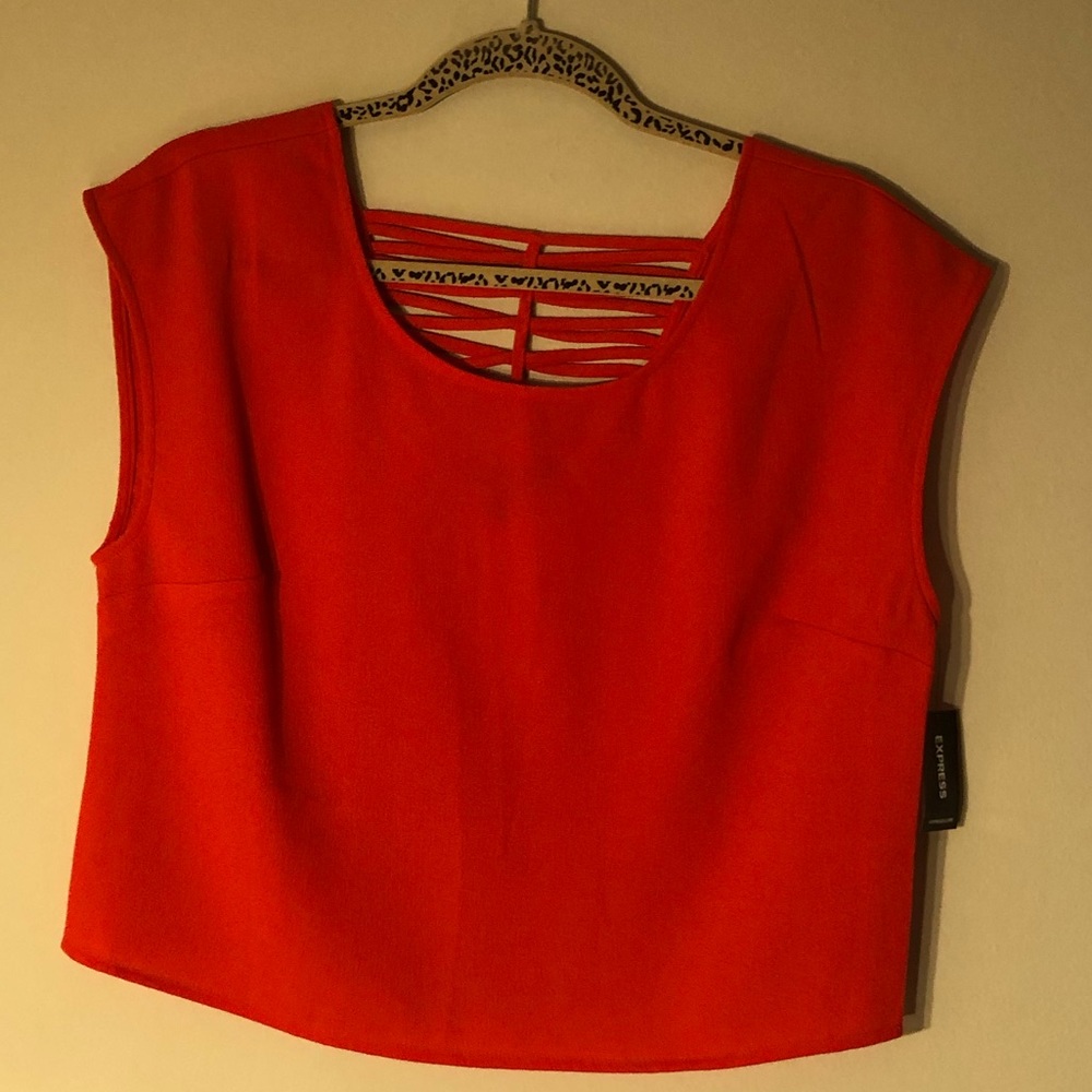 ❤️NEW❤️ Express Blouse - Size Medium